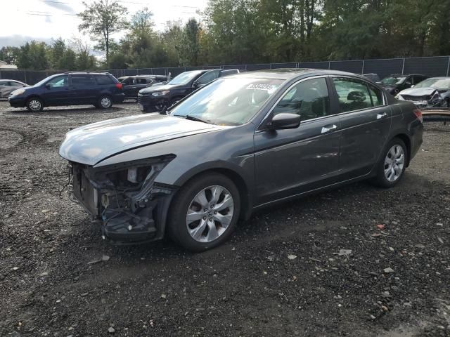 2010 Honda Accord EXL