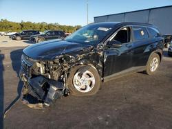 2023 Hyundai Tucson sel for sale in Apopka, FL