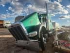2020 Peterbilt Tractor 2020 Peterbilt 389 Semi Truck