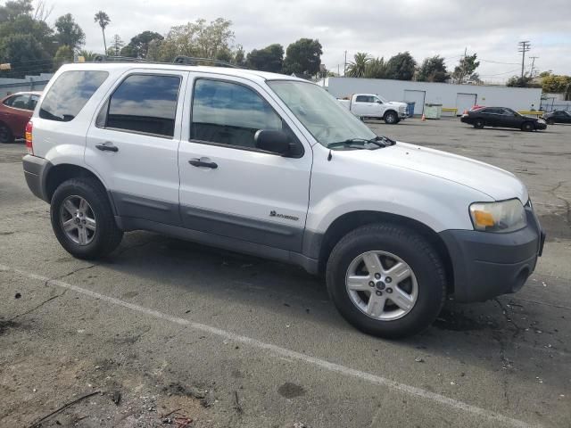 2005 Ford Escape HEV