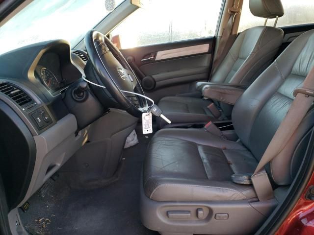2010 Honda Cr-v exl