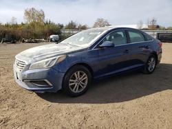 2017 Hyundai Sonata se en venta en Columbia Station, OH
