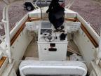 1987 Unknown 1987 Boat
