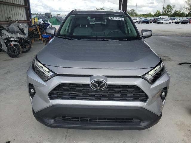 2025 Toyota Rav4 XLE Premium