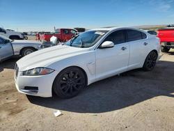 2012 Jaguar XF for sale in Albuquerque, NM