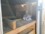 2005 Unknown 2005 Enclosed Cargo Trailer