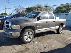 Salvage trucks for sale at Moraine, OH auction: 2002 Dodge RAM 1500