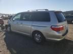 2007 Honda Odyssey EXL
