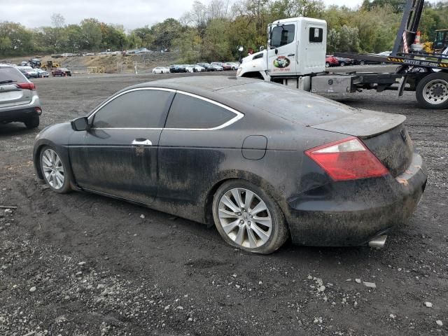 2010 Honda Accord EXL
