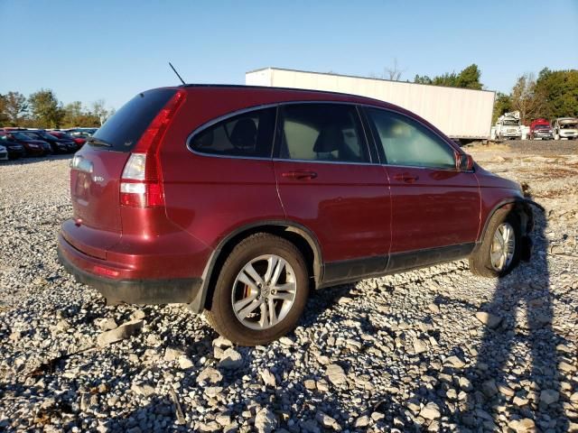 2010 Honda Cr-v exl