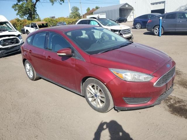 2015 Ford Focus SE