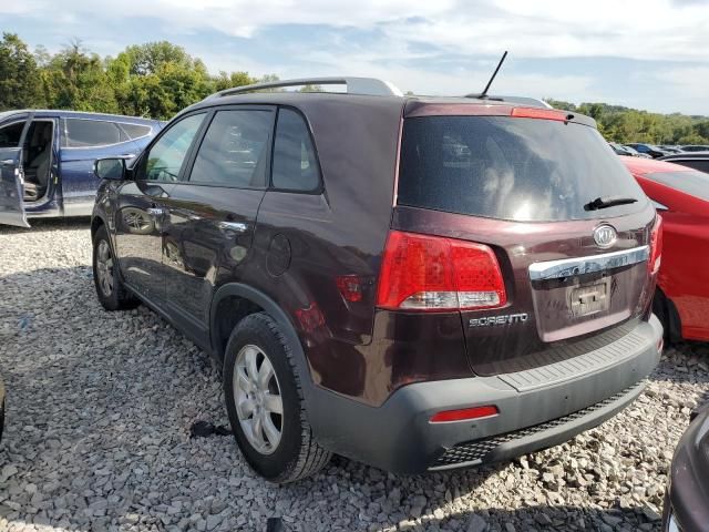 2011 KIA Sorento Base
