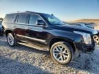 2016 Cadillac Escalade Luxury