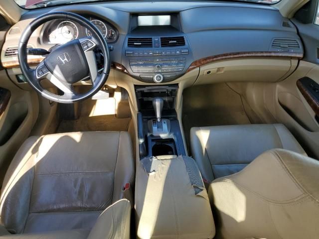 2008 Honda Accord EXL