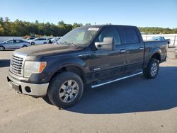 Ford Vehiculos salvage en venta: 2012 Ford F150 Supercrew
