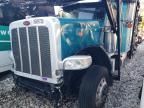 2023 Peterbilt 389