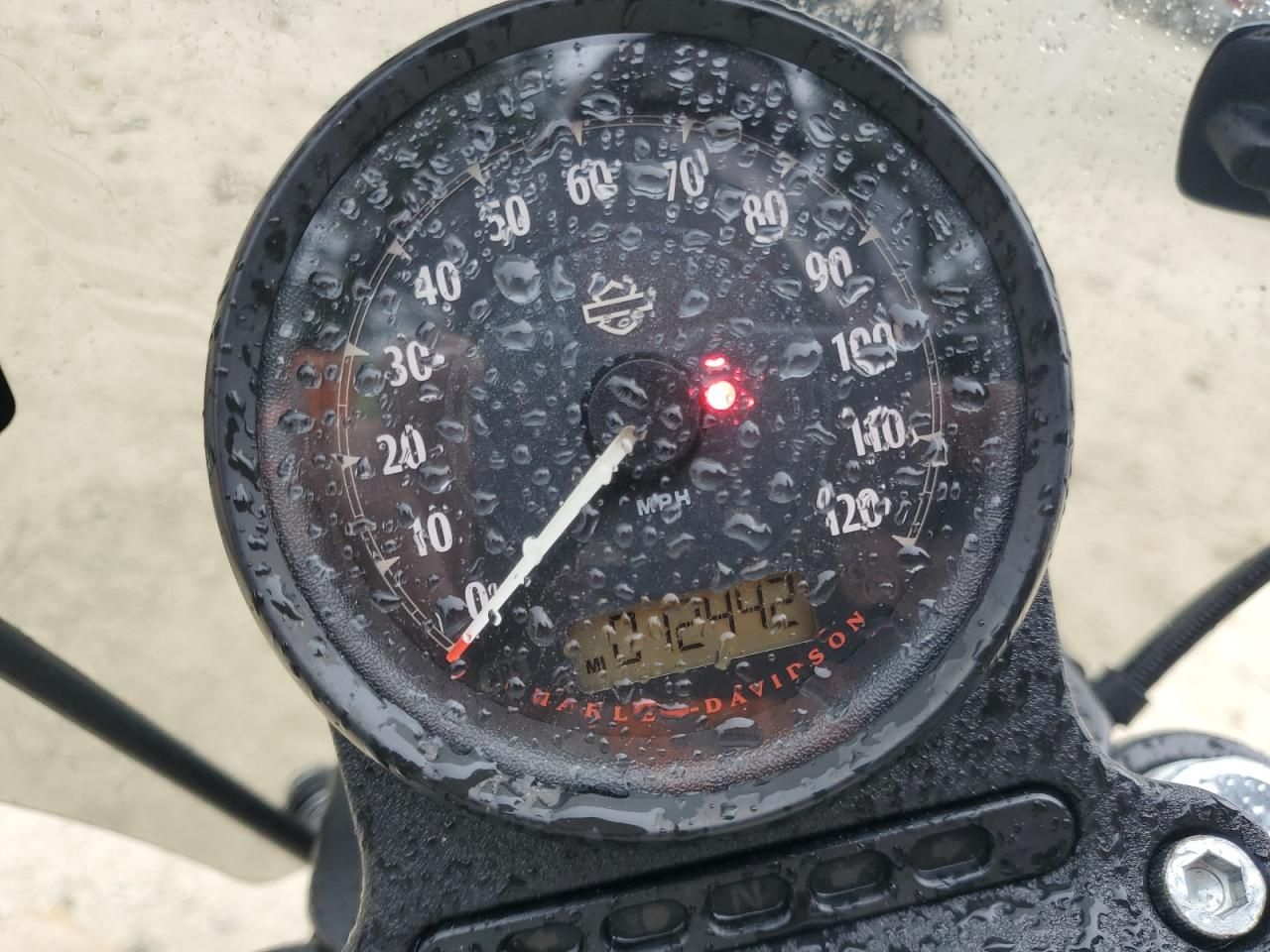 2019 Harley-Davidson XL1200 NS