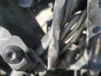 2025 Kawasaki EX500