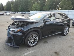Salvage cars for sale from Copart Arlington, WA: 2024 Lexus NX 350H Base