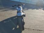 2024 Harley-Davidson RH1250 S