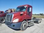 2015 Freightliner Cascadia 113