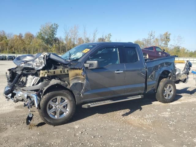 2025 Ford F150 XLT