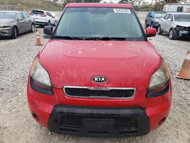 2011 KIA Soul +