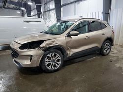 2021 Ford Escape SEL for sale in Ham Lake, MN