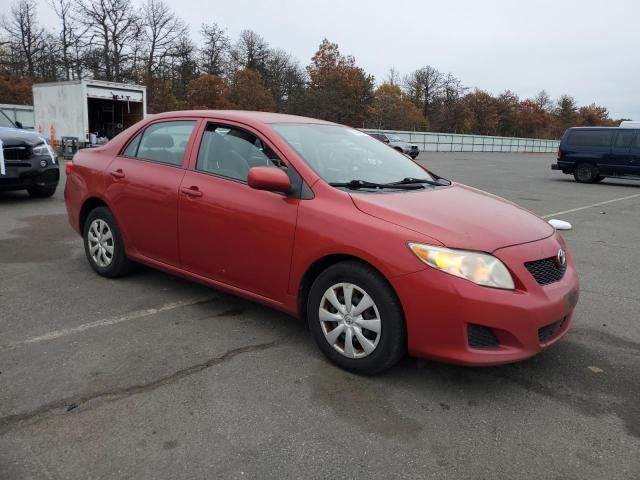 2010 Toyota Corolla Base