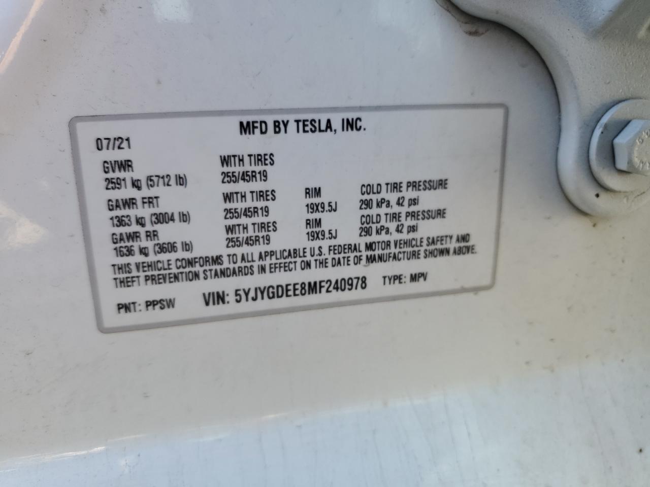 2021 Tesla Model y