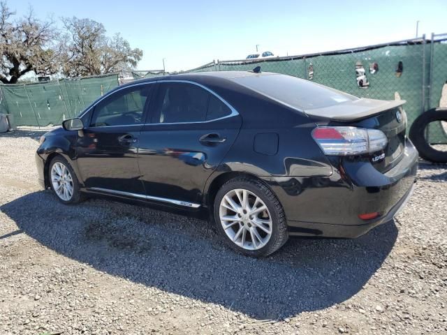 2010 Lexus HS 250H