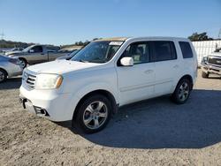 Honda Vehiculos salvage en venta: 2013 Honda Pilot exl
