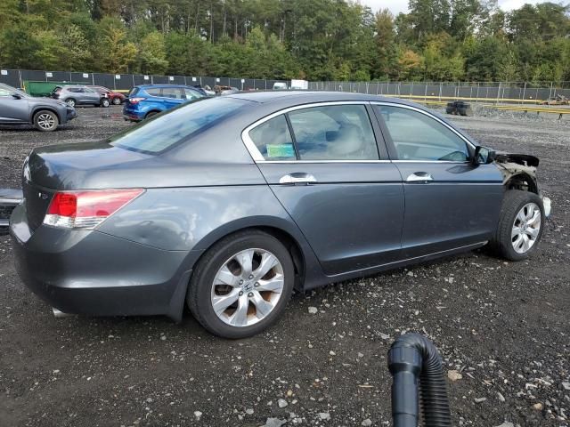 2010 Honda Accord EXL