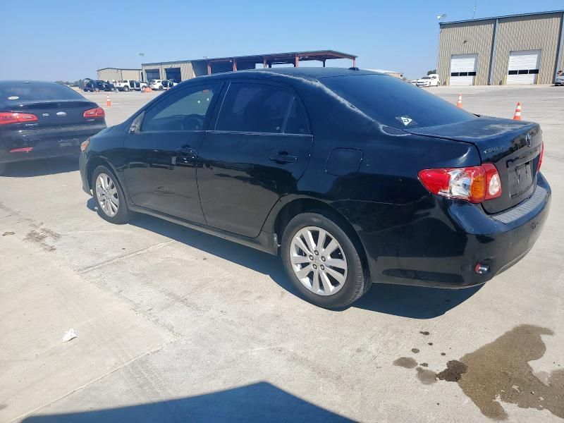 2010 Toyota Corolla Base