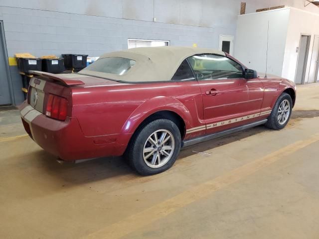2005 Ford Mustang