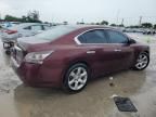 2013 Nissan Maxima S