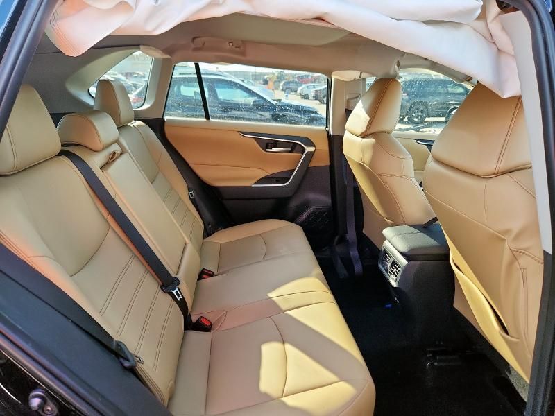 2025 Toyota Rav4 XLE Premium