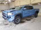 2019 Toyota Tacoma Double cab