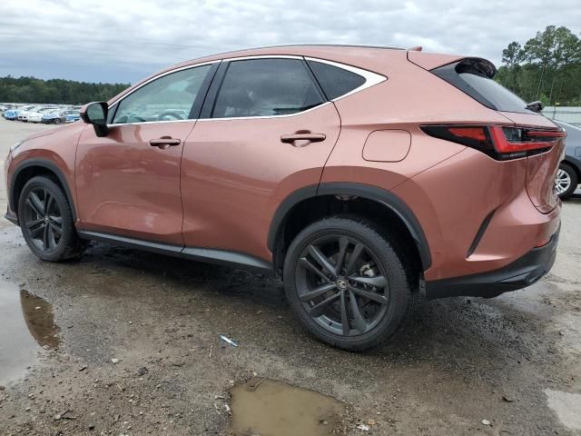2025 Lexus NX 450H Luxury