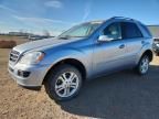 2006 Mercedes-Benz Ml 350