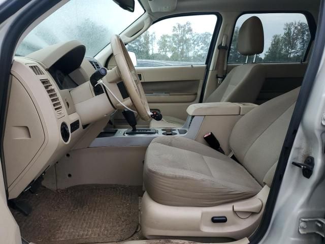 2009 Ford Escape XLT