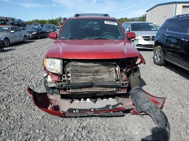 2009 Ford Escape Limited