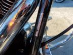 2005 Harley-Davidson Flstfi