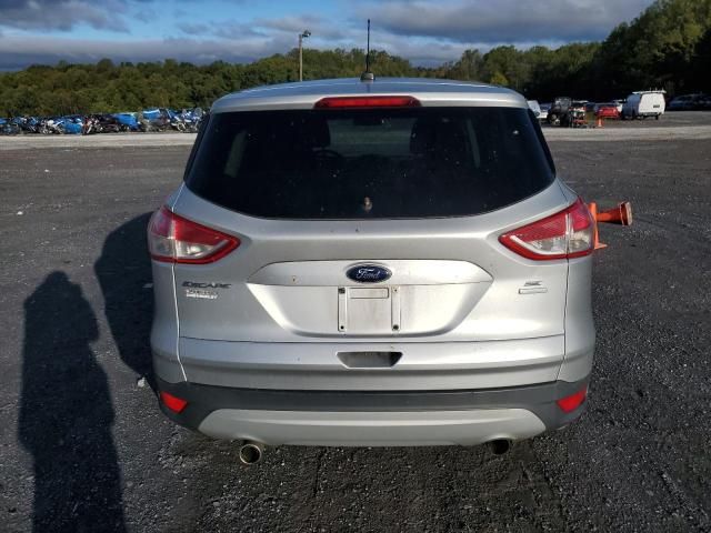 2013 Ford Escape SE