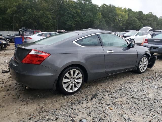 2009 Honda Accord EXL