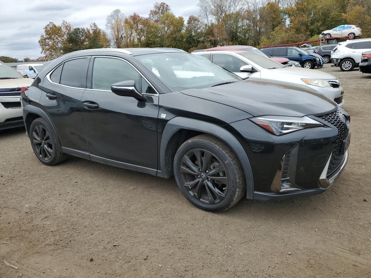 2019 Lexus Ux 200