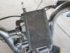 2024 UK 2024 Other Motorcycle Ariel Rider Grizzly