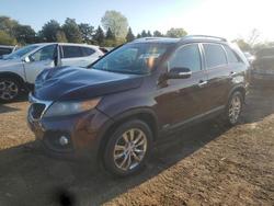 2011 KIA Sorento ex for sale in Elgin, IL