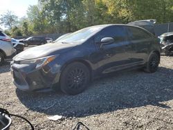 2020 Toyota Corolla LE for sale in Waldorf, MD