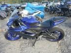 2024 Yamaha YZFR3 A